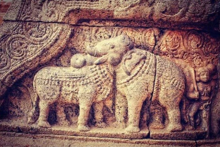 Unillusione ottica che proviene dallImpero Khmer di 900 anni fa: la medesima testa rappresenta sia quella del toro di sinistra che quella dell'elefante a destra!