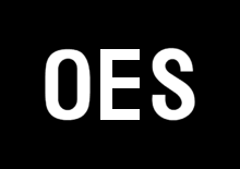 Bandiera dell'OES (grazie a William Riker)