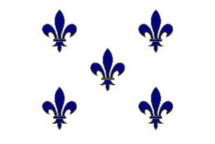 Bandiera della Louisiana