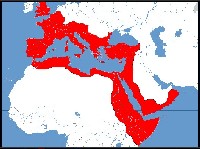 L'impero romano come immaginato in questa ucronia, CLIC PER INGRANDIRE (grazie ad Iacopo)
