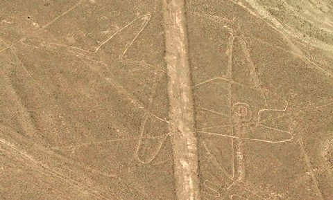 Il Megalodonte raffigurato nella piana di Nazca...