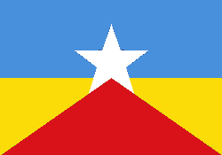 Bandiera dello Stato di Rondonia