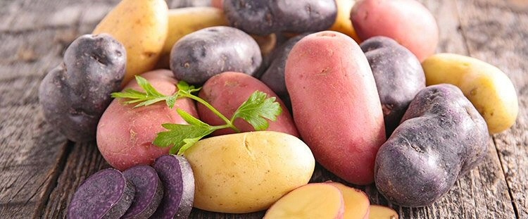 200 pz Semi di patate - Solanum Tuberosum - Semi di ortaggi da
