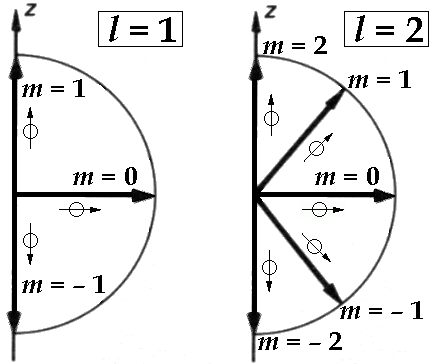 La sfera di Hoberman e il momento angolare.#matematica #maths #physics