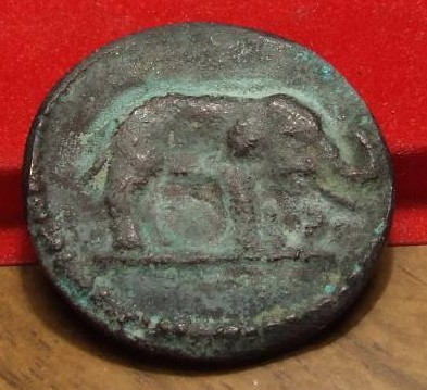 Una moneta cartaginese raffigurante un elefante da guerra (per gentile concessione di Sandro Degiani)