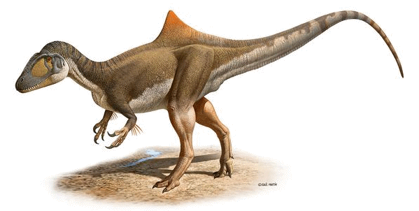 Concavenator corcovatus, ricostruzione di Raúl Martín